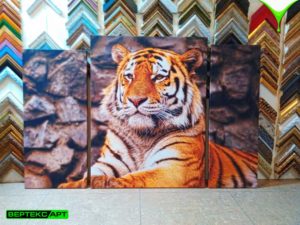 Модульная картина тигр