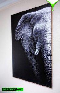 Репродукция картины на холсте Слон
