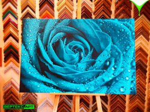 Репродукция картины на холсте голубая роза